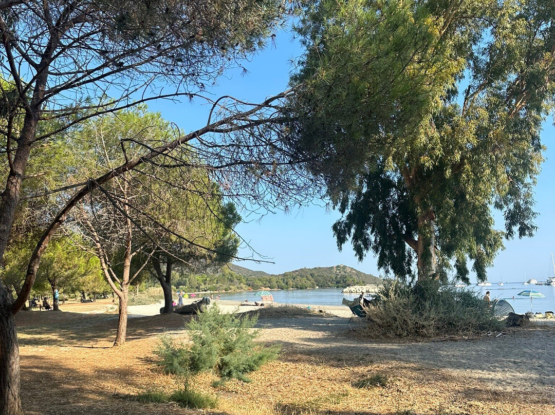 Plage de la Roya-Saint Florent必去景点