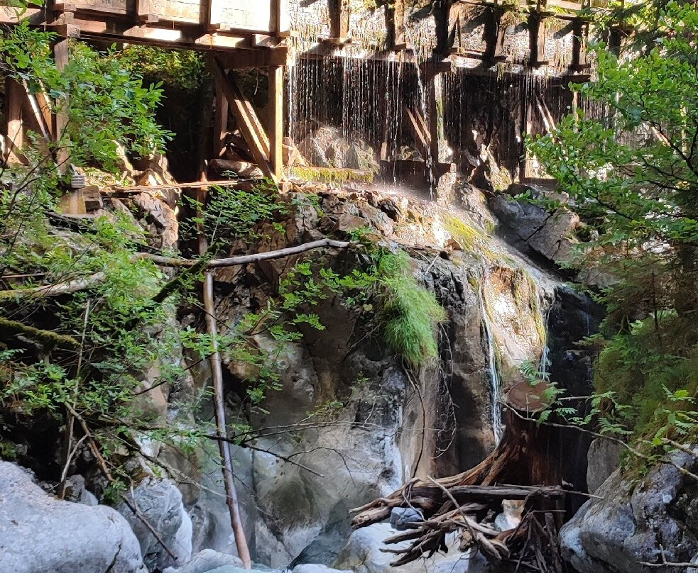 Pechtlgut Apartments主图