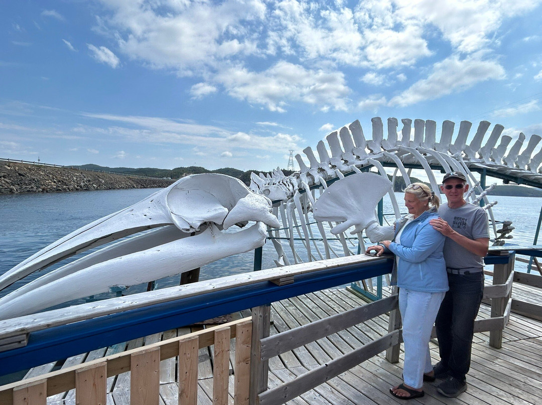 Prime Berth Fishing Museum-Twillingate必去景点
