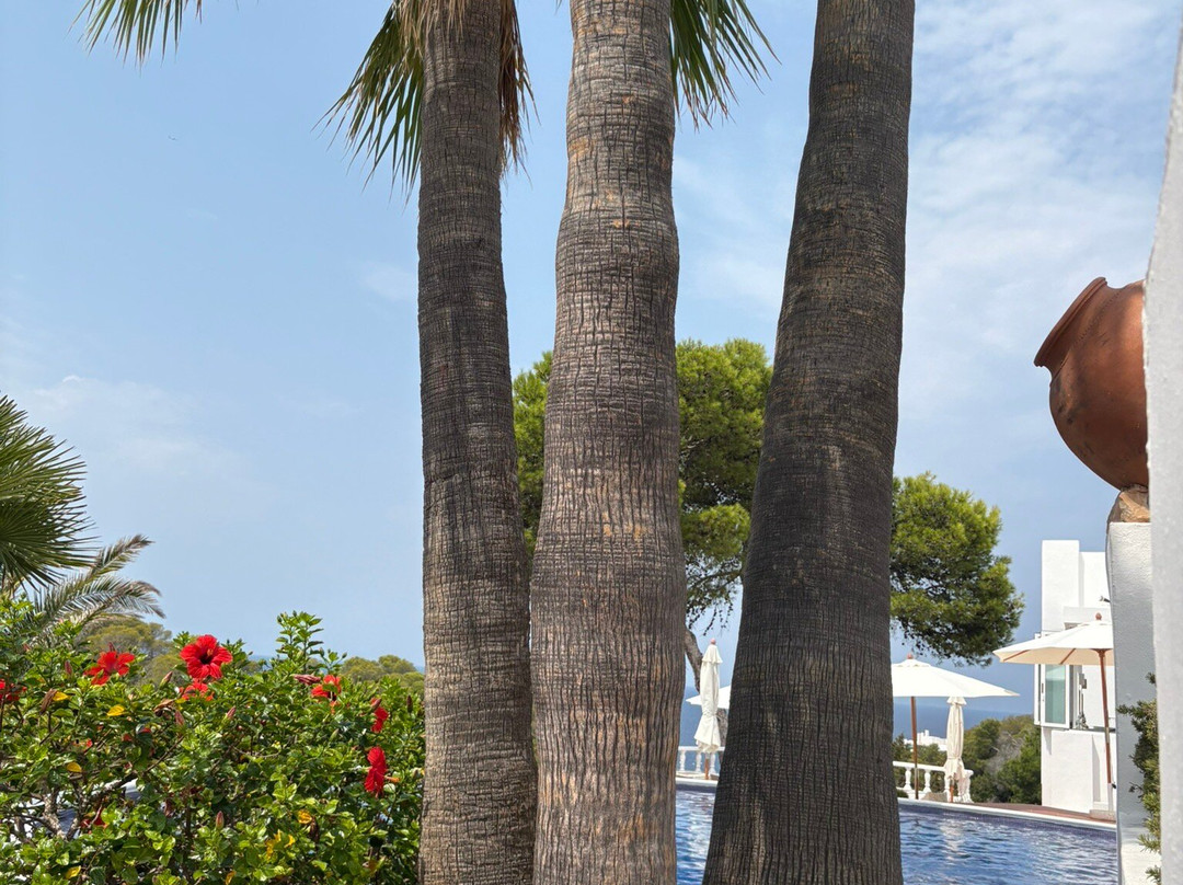 Hotel Village Ibiza主图
