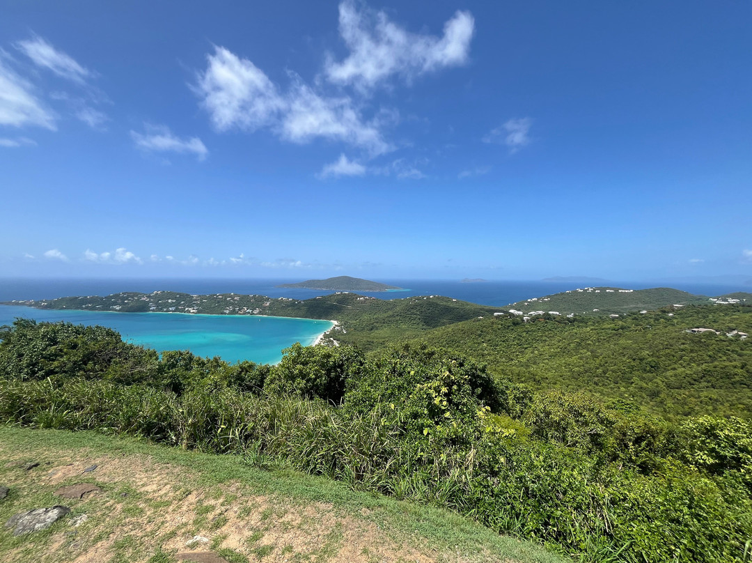 Big Love Taxi-夏洛特阿马利亚必去景点