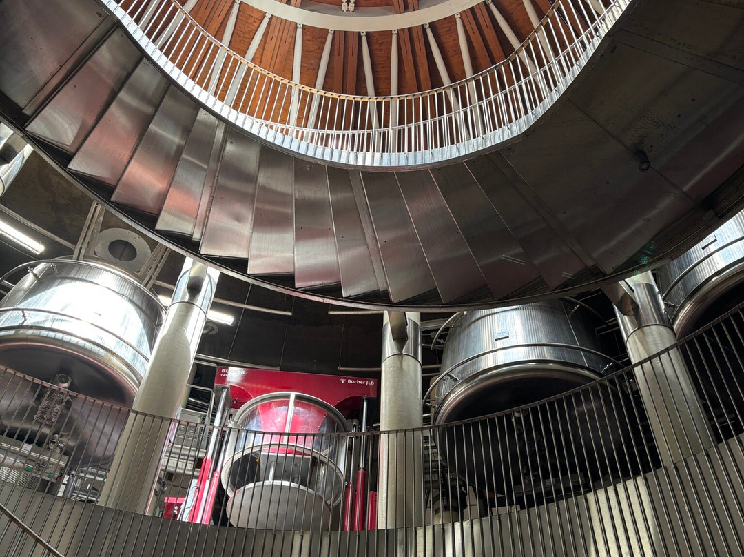 Fattoria Le Mortelle-Ampio必去景点