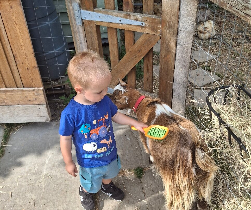 Fisherwood farm-Robertsbridge必去景点