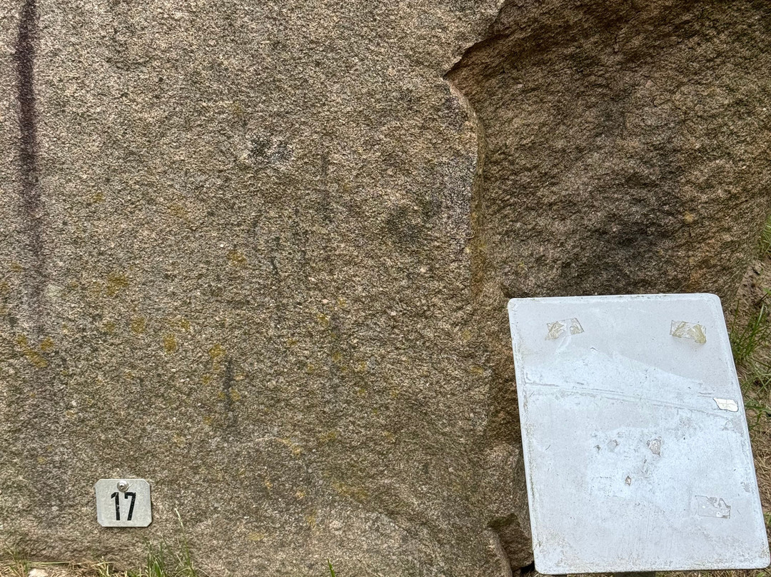 Usedomer Gesteinsgarte-Uckeritz必去景点