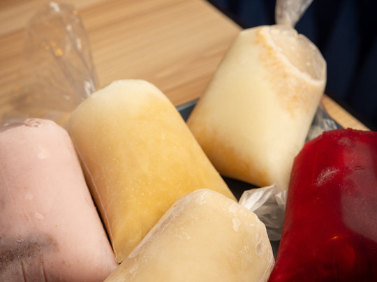 El Portal Maya Davie