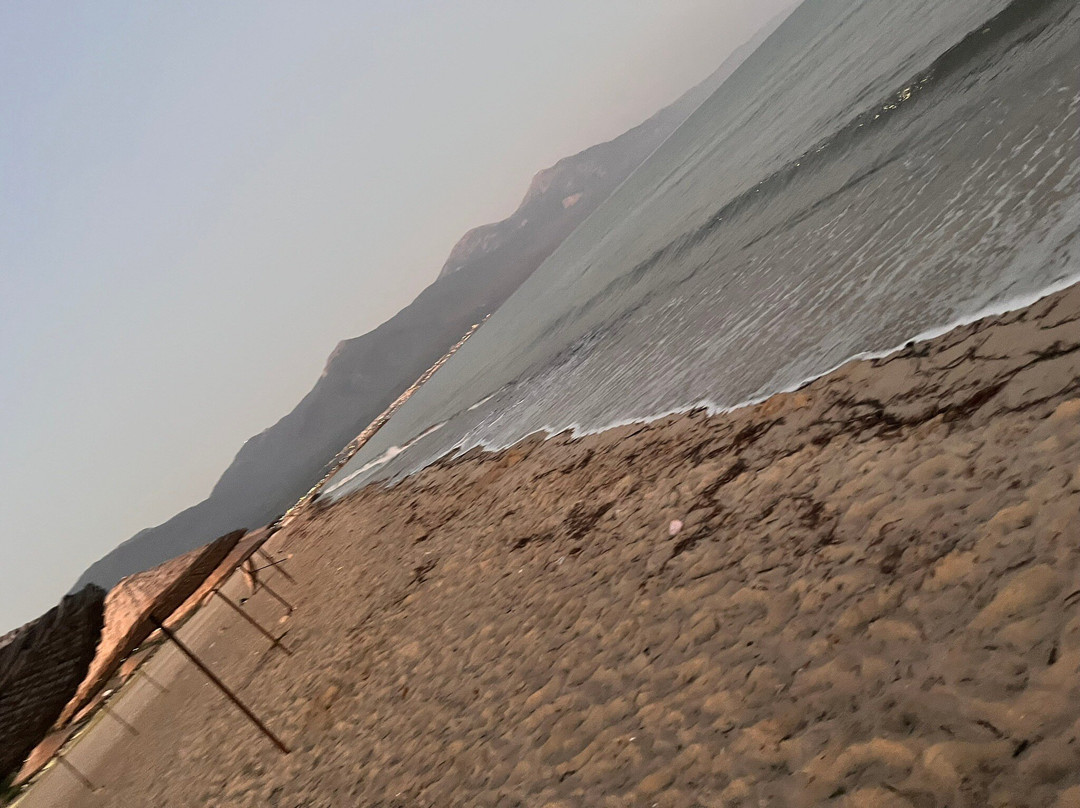 Davutlar Sahili-Davutlar必去景点