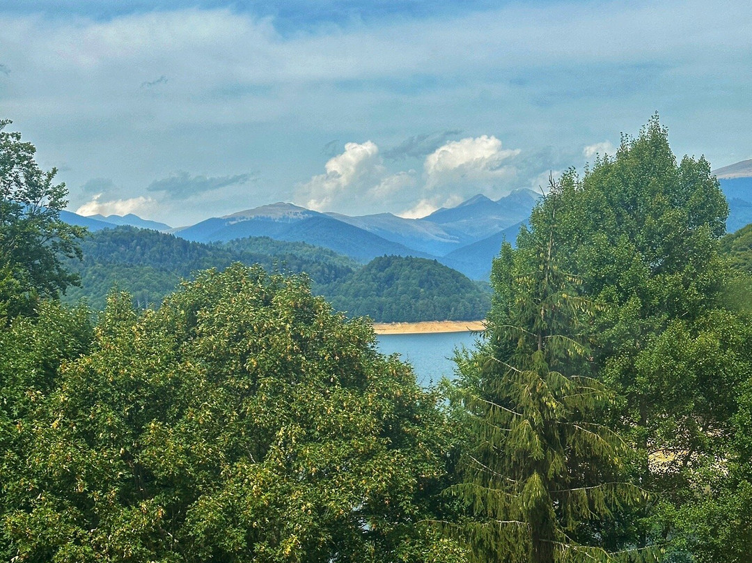 Cabana Valea cu Pesti主图