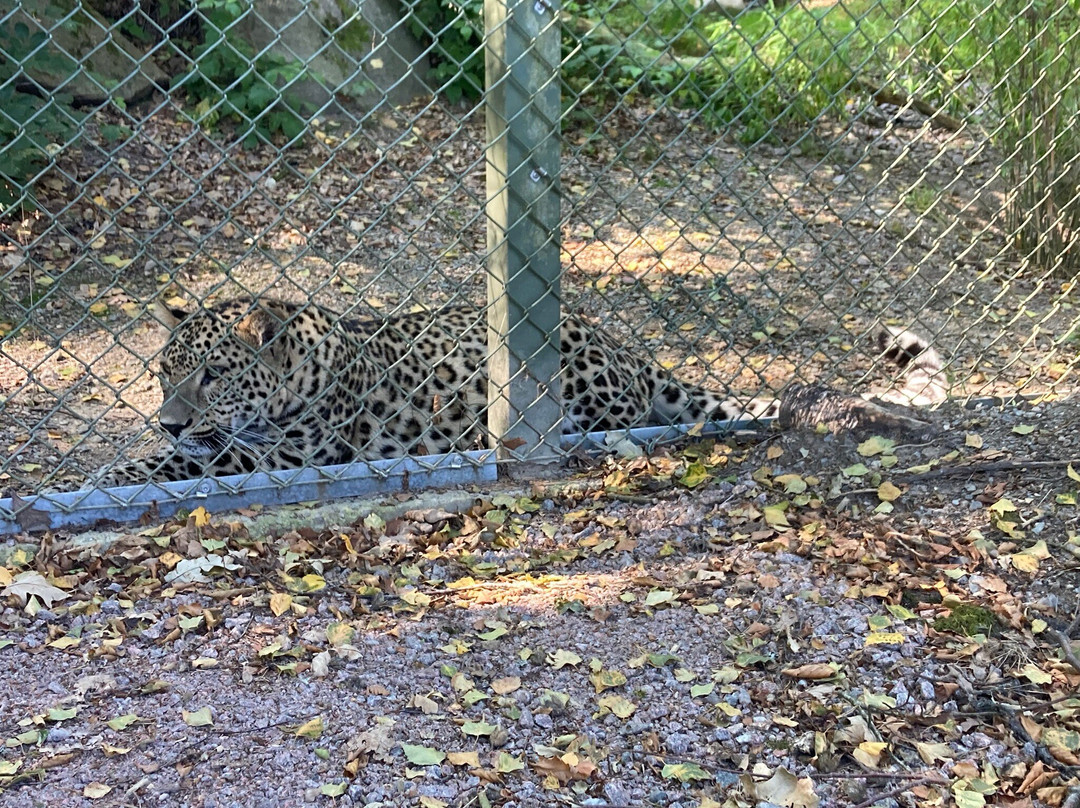 Nordens Ark-Hunnebostrand必去景点