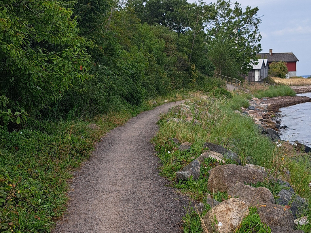 Vens Cykeluthyrning-Sankt Ibb必去景点