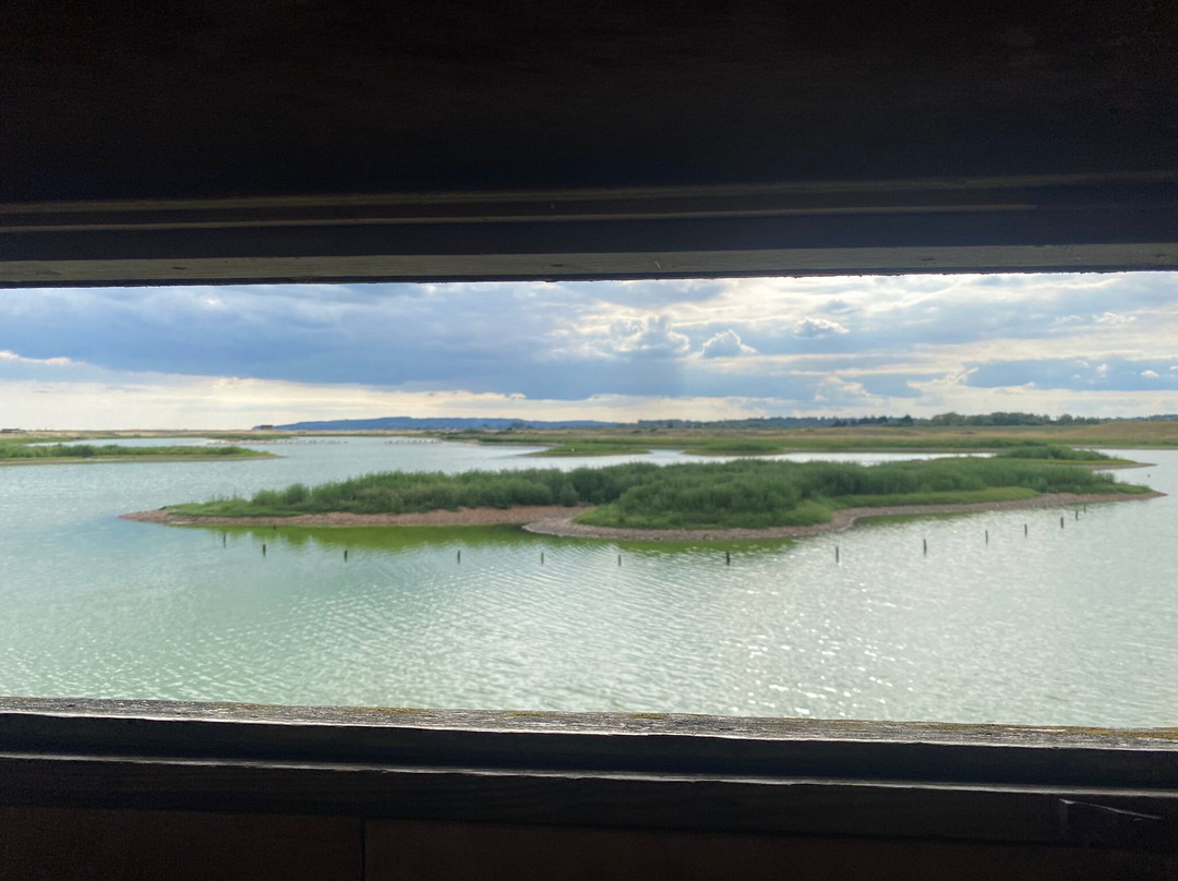 Rye Harbour Nature Reserve-拉伊必去景点