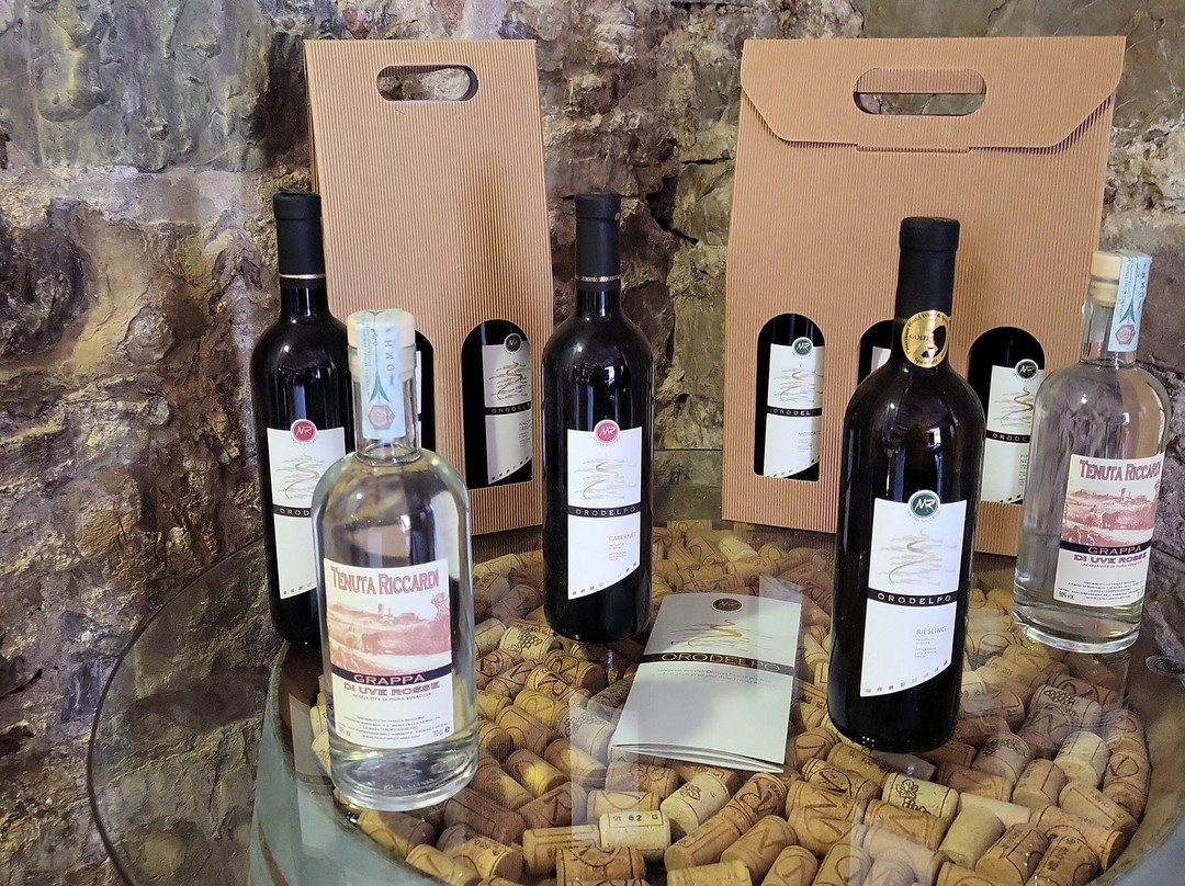 Tenuta Riccardi - Vini dal 1912-Santa Maria della Versa必去景点