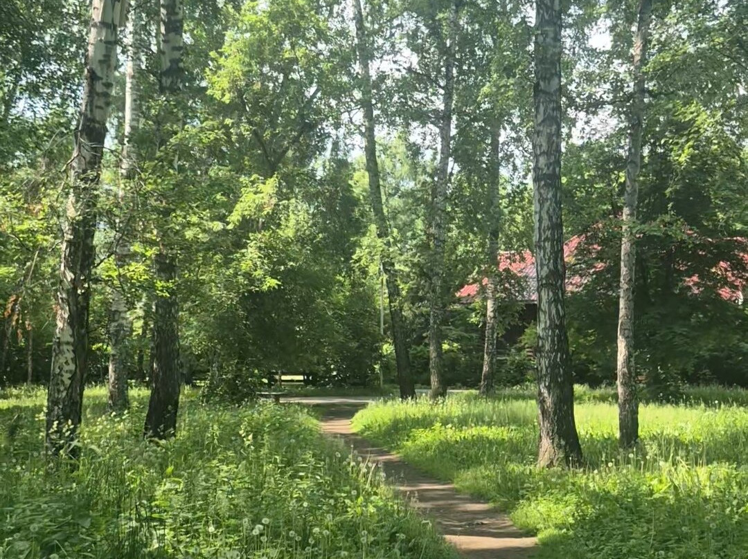 Berezovaya Roshha Park-新西伯利亚必去景点