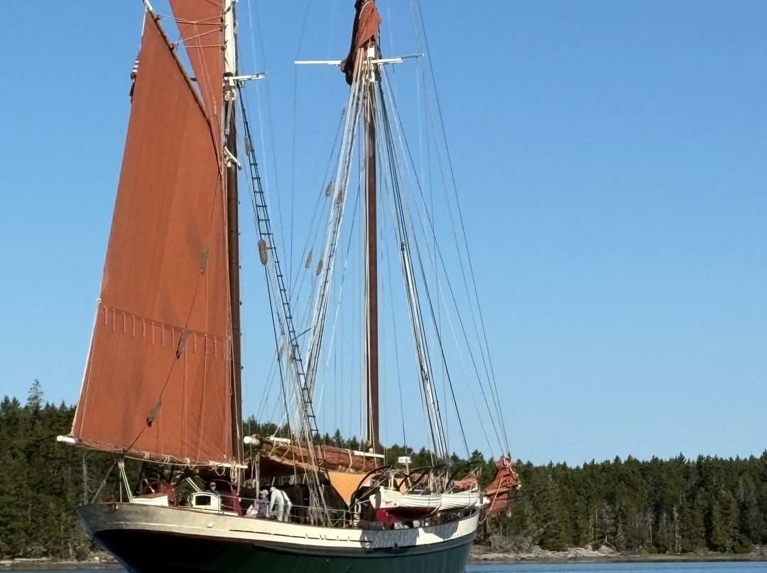 Windjammer Angelique-卡姆登必去景点