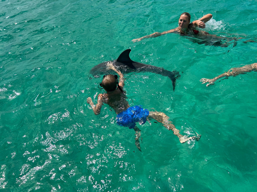 Blue Ocean Tours-Turtle Cove必去景点