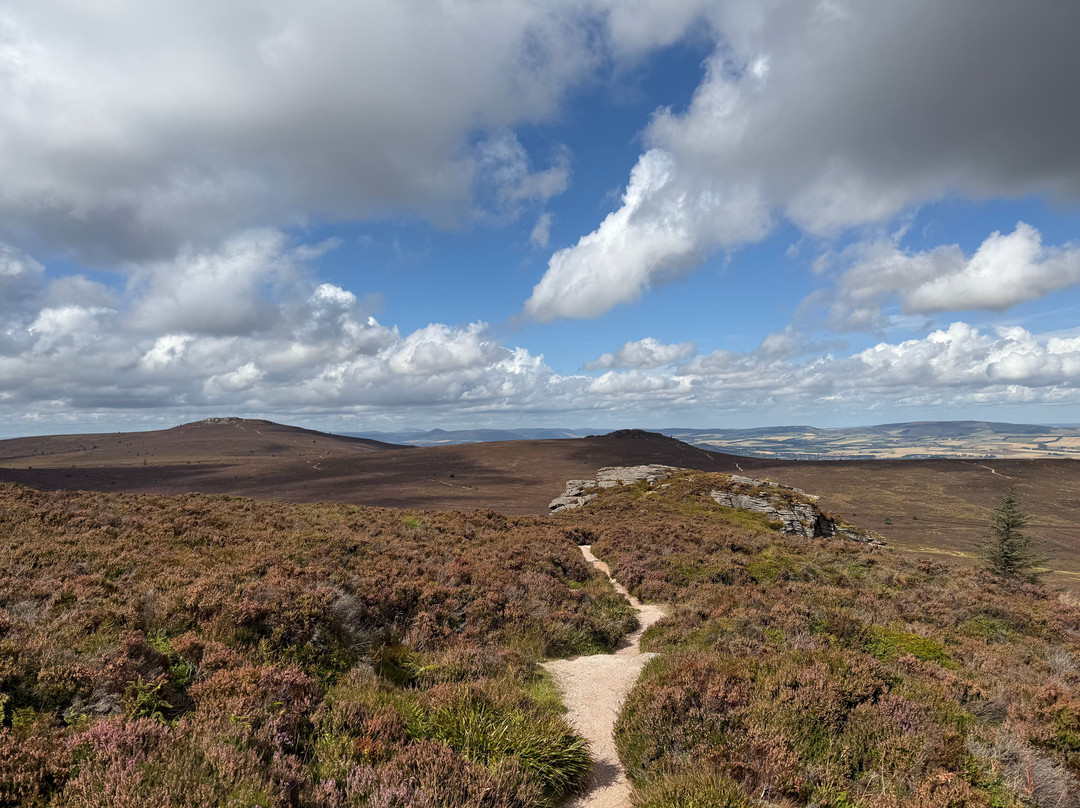 Bennachie Hill Walks-阿伯丁必去景点