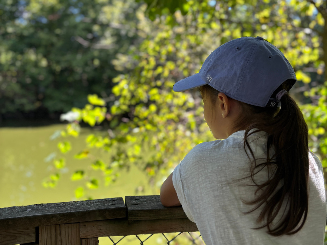 Killman Zoo-Caledonia必去景点