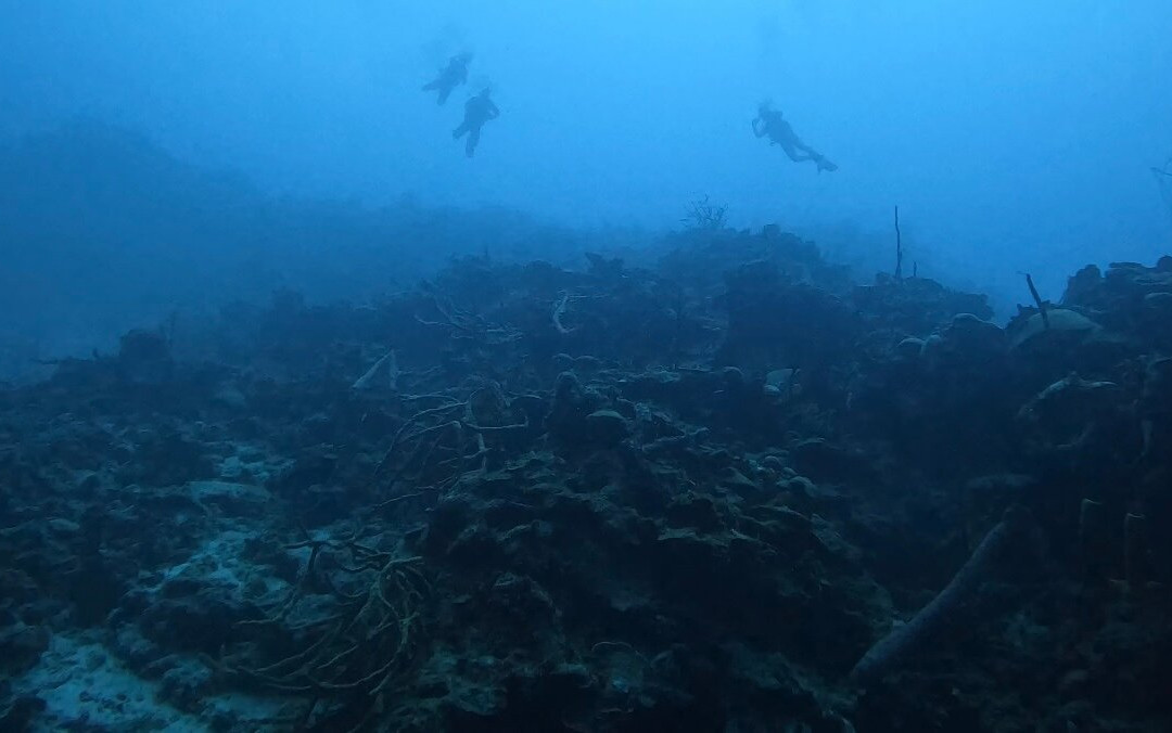 Varadero Diving Tour-Playa Larga必去景点