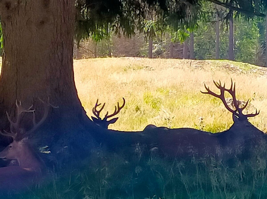 比恩威里阿拉洛查酒店主图