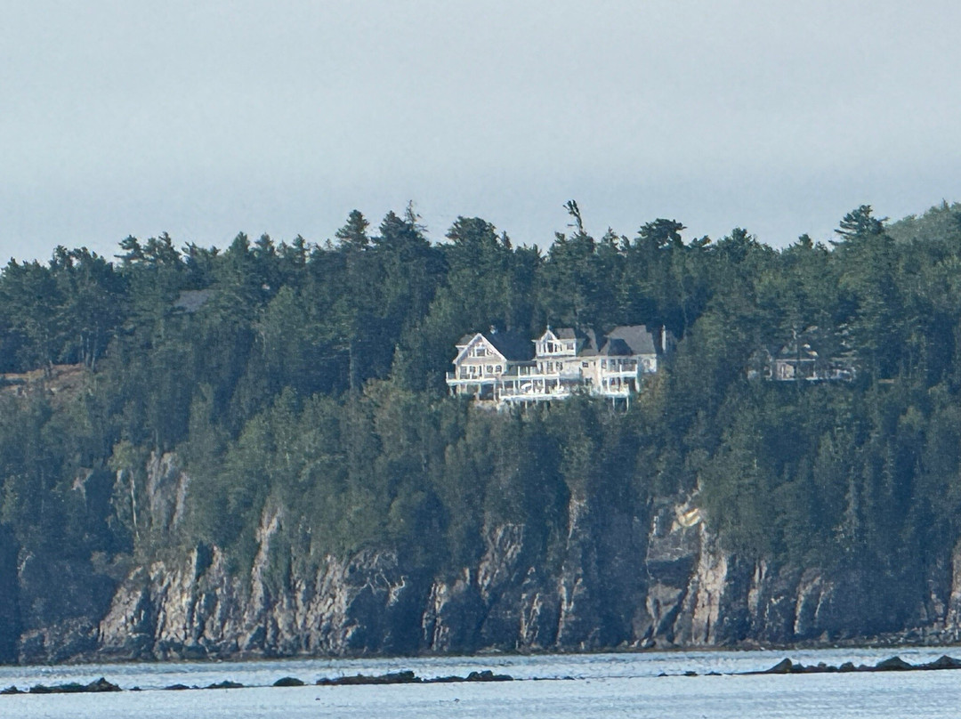 Acadian Boat Tours Puffins, Lighthouses, & Seabirds Cruise-巴港必去景点