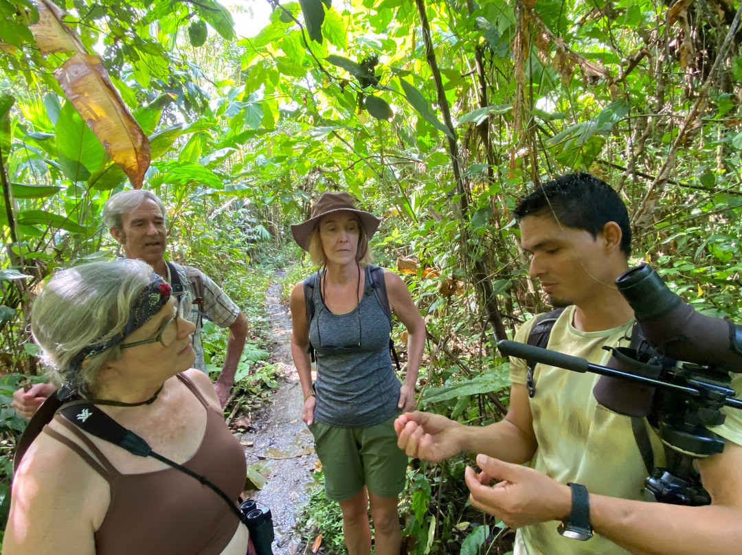 Osa Nature Tours-Dos Brazos必去景点