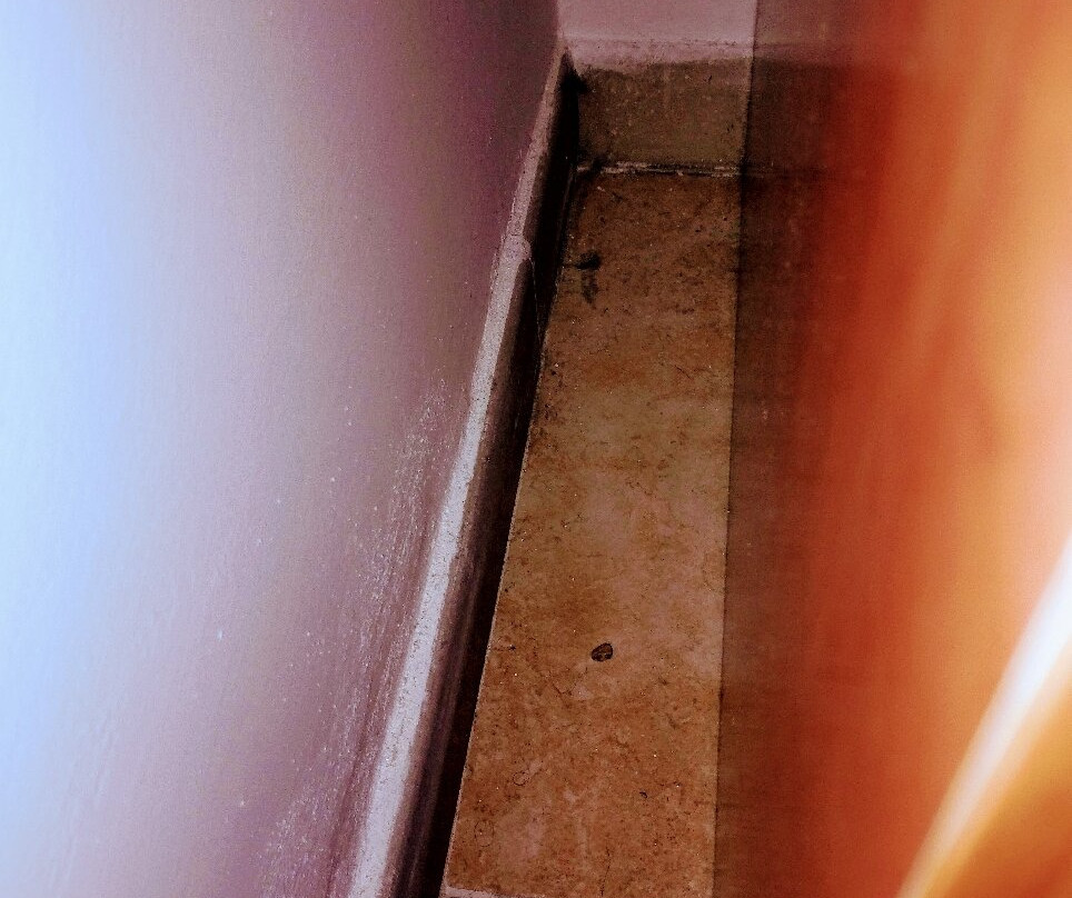 马戈诺莉亚酒店主图