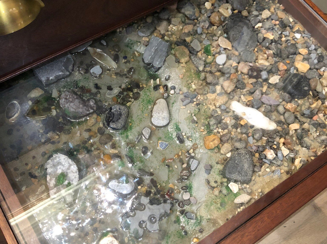 Lyme Regis Philpot Museum-莱姆里杰斯必去景点