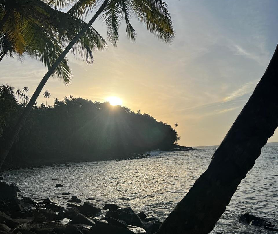 Hôtel Iles du Salut主图