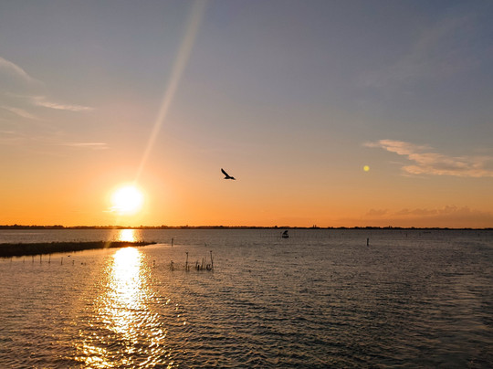 Motorship Dali-Porto Garibaldi必去景点
