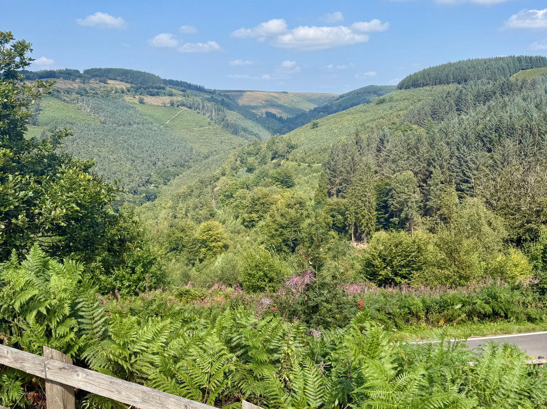 Cwmcarn Forest-Cwmcarn必去景点