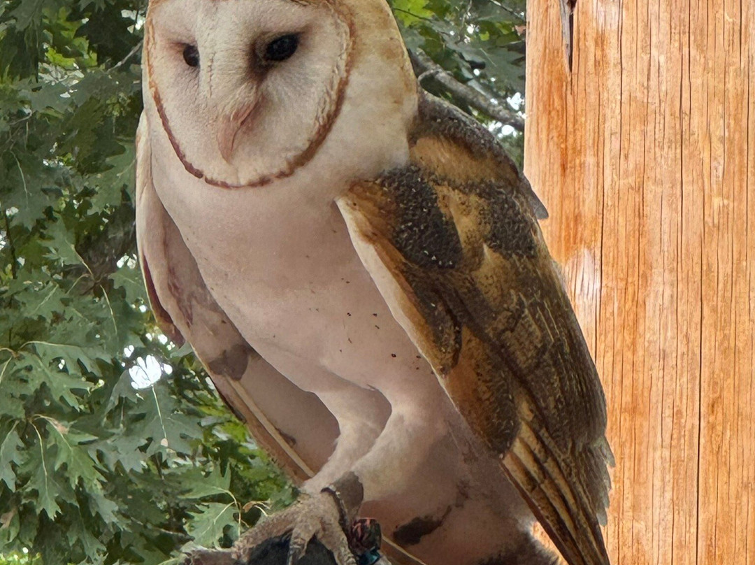 World Bird Sanctuary-Valley Park必去景点