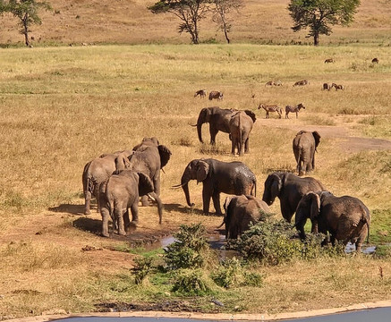 Eagle Wings Tours And Safaris-蒙巴萨必去景点