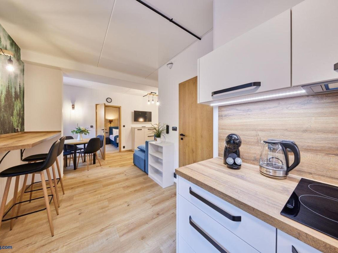 Aparthotel Rybrcoul