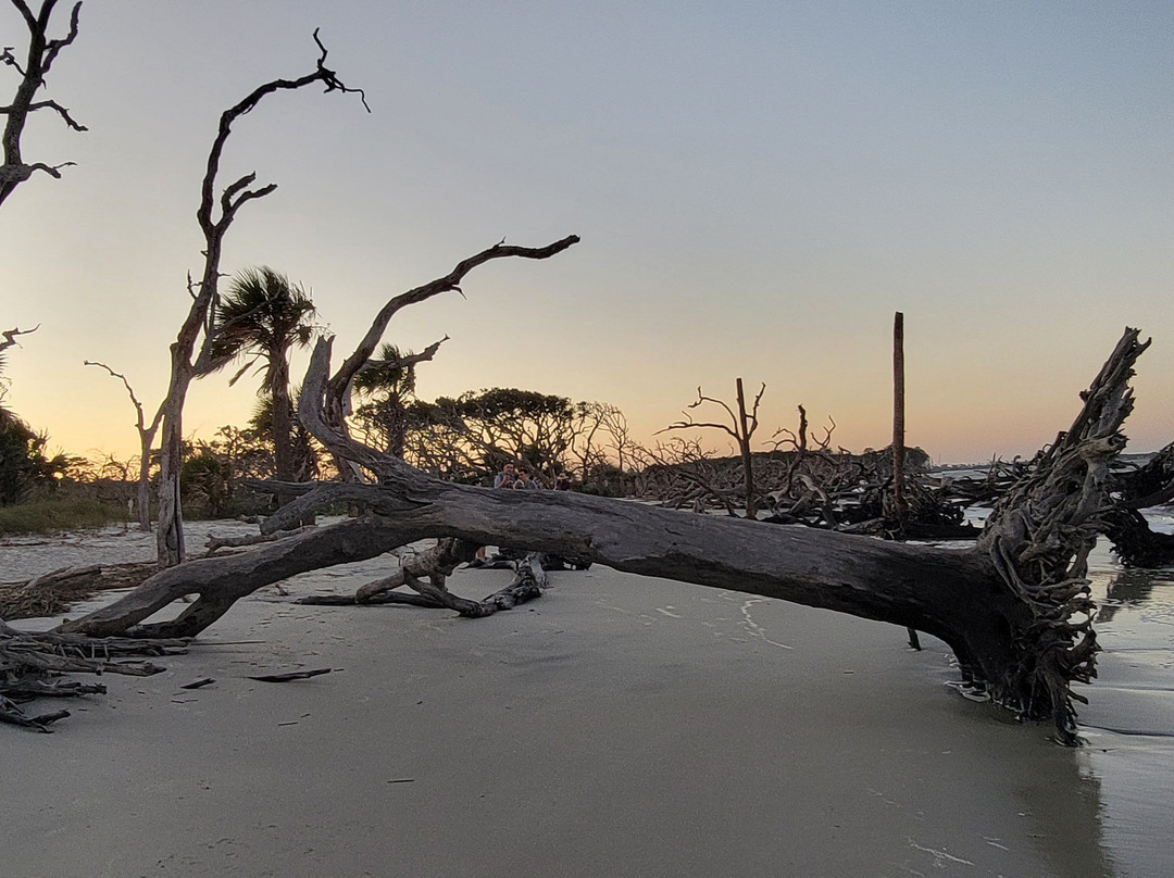 Driftwood Beach-吉柯岛必去景点