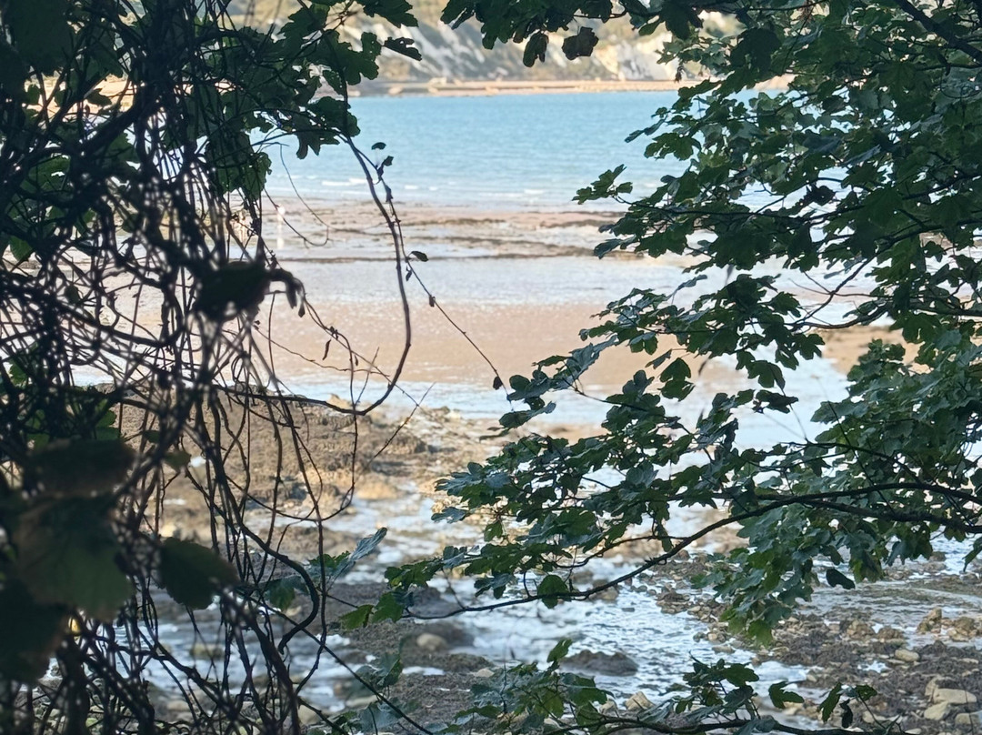 East Cliff and Warren Country Park-福克斯通必去景点