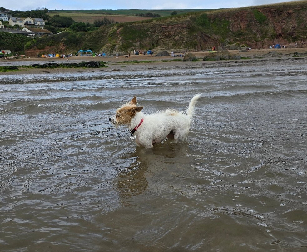 Bigbury-on-Sea Beach-Bigbury-on-Sea必去景点