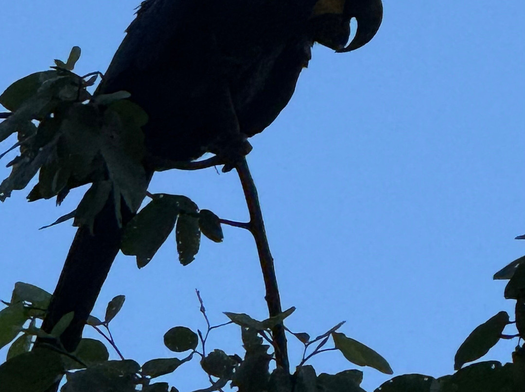 Calai Turismo-Palmas必去景点