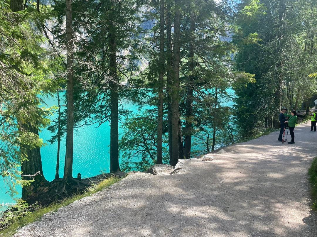 MoveNow Travel-威尼斯必去景点