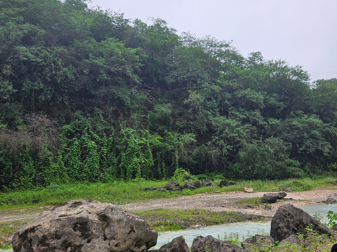 Amazing Salalah Tourism-塞拉莱必去景点