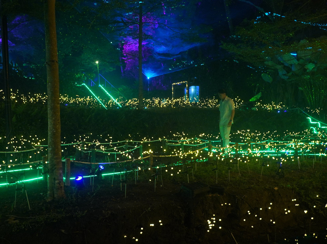 Hikaria: Bali's First Immersive Night Walk-Tegallalang必去景点