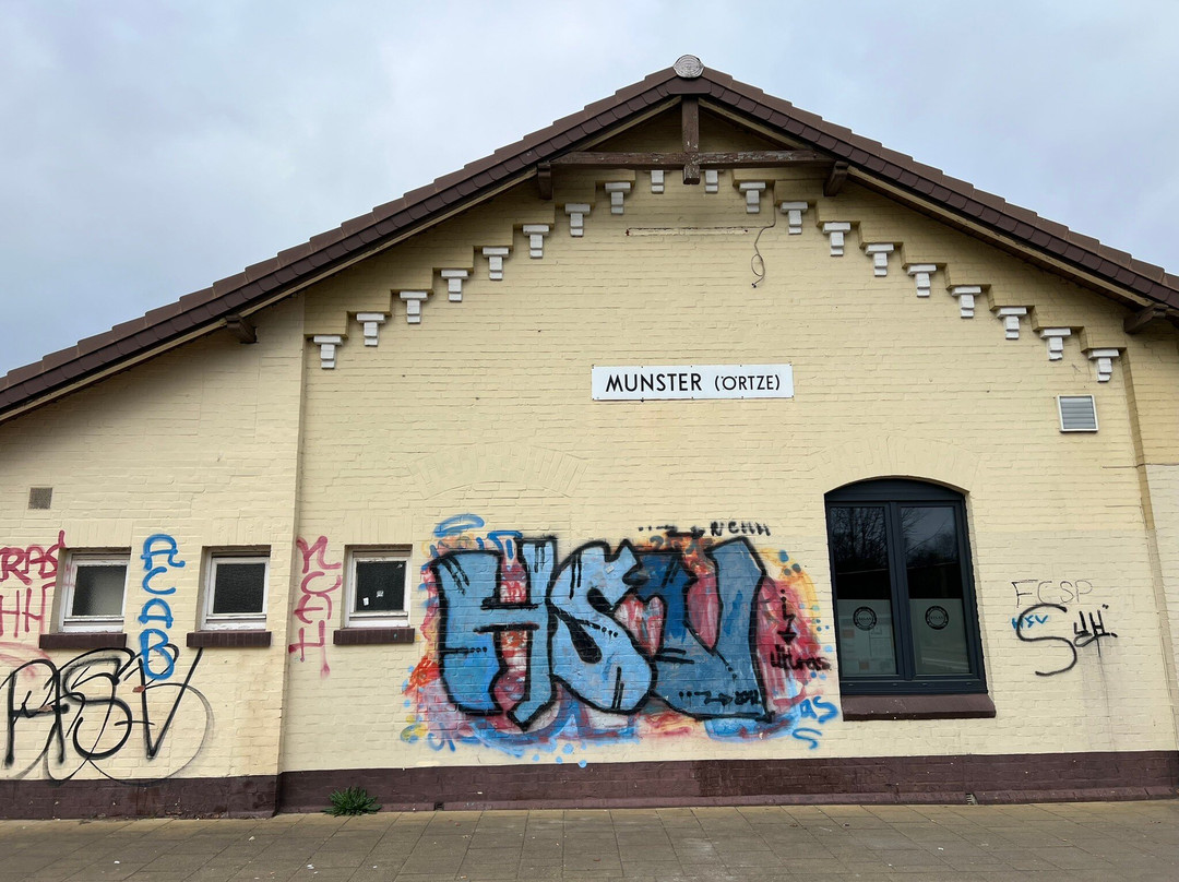 Munster (Örtze)-Munster必去景点