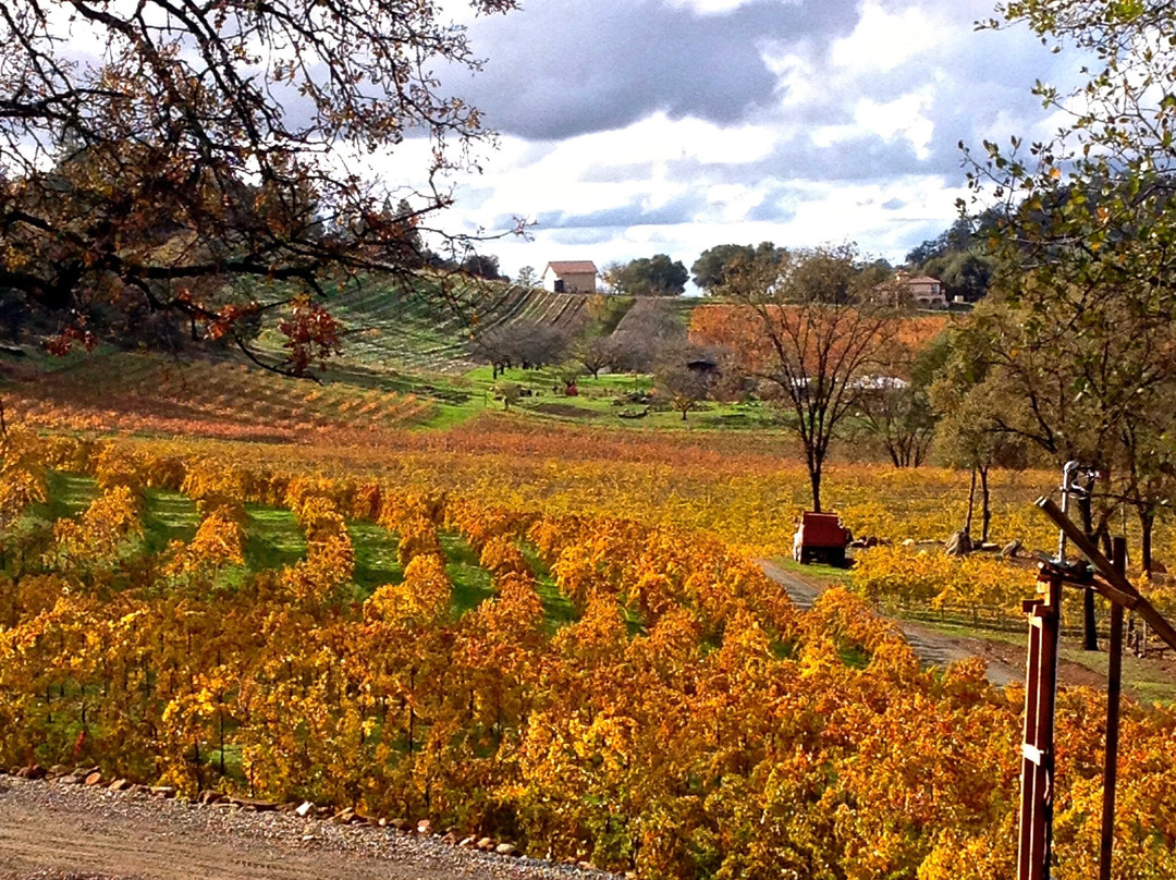 Casino Mine Ranch-Plymouth必去景点