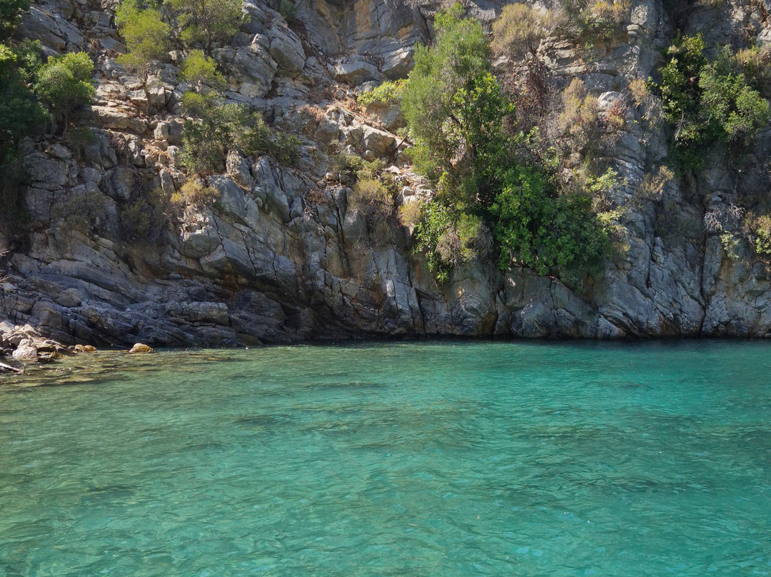 Dalyan Boat Tours - Ege Kaptan-达利安必去景点