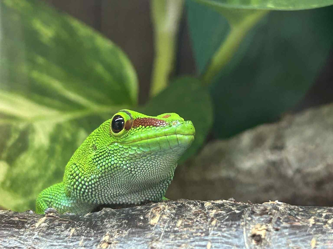 Bugtopia Hornsea Zoo-Hornsea必去景点