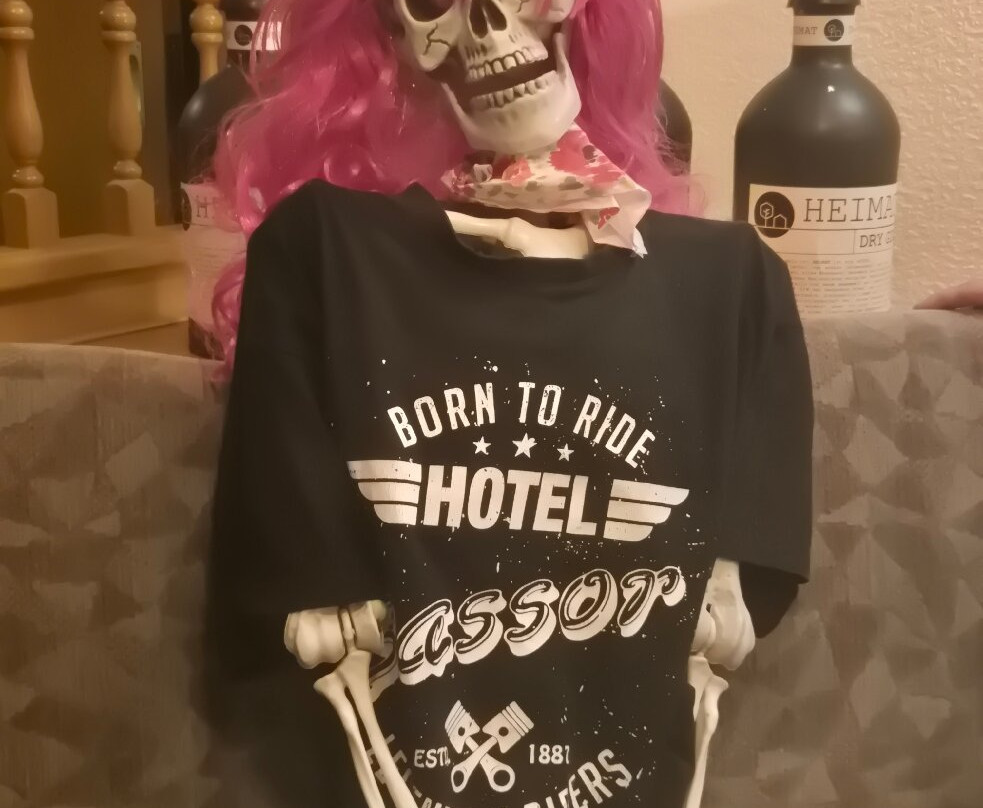 Hotel Sassor主图