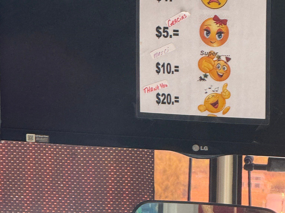 Kim Sha Beach-辛普森湾必去景点