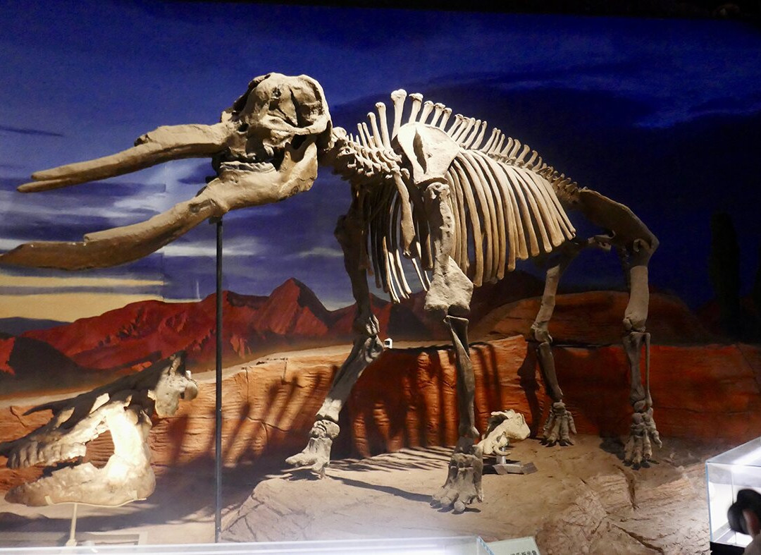 吐鲁番博物馆-吐鲁番市必去景点