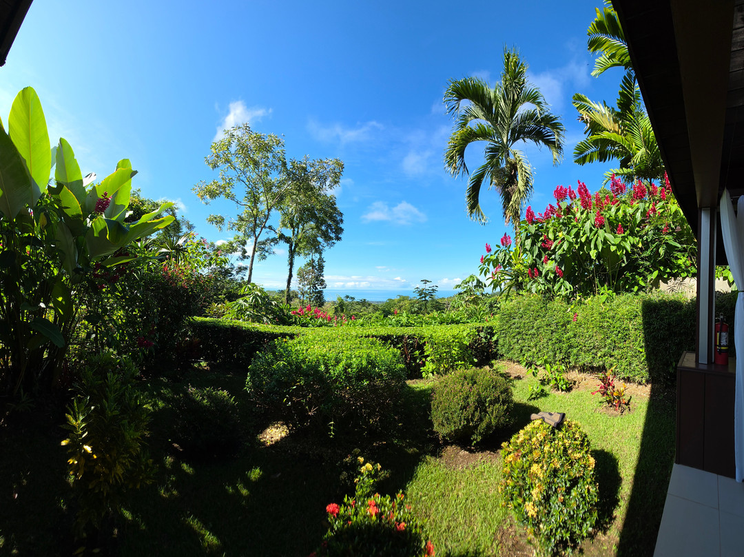 Oxygen Jungle Villas & Spa主图