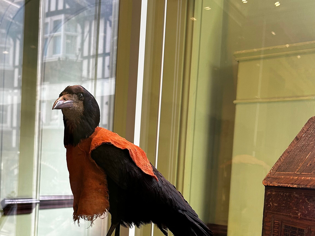 The Beaney House of Art & Knowledge-坎特伯雷必去景点