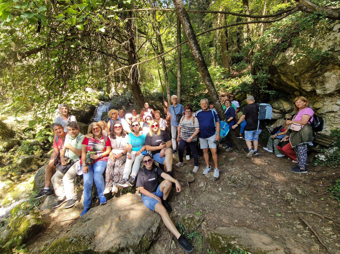 Cipresseta di Fontegreca - Info e Visite Guidate-Fontegreca必去景点