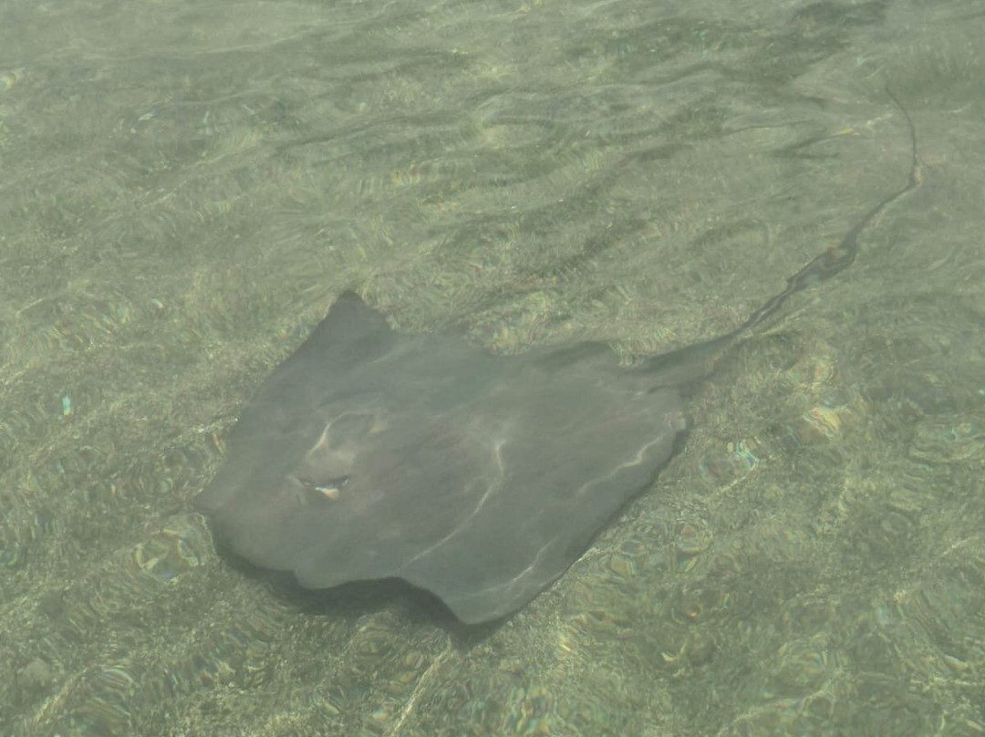 Genuine Costa Rica-Playas del Coco必去景点